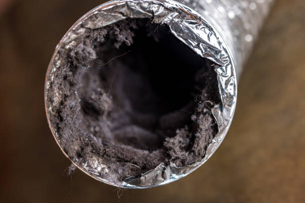 Best Affordable Duct Cleaning Services  in Marcus Hook, PA